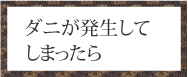 ダニが発生してしまったら