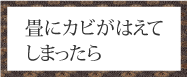 畳にカビがはえてしまったら